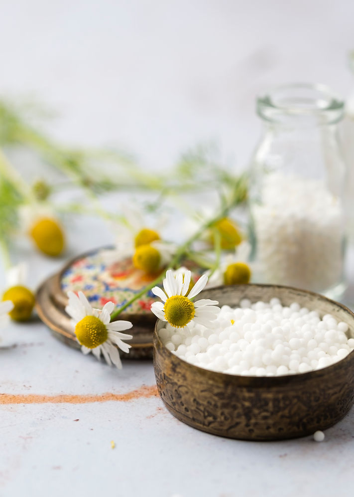 Fredi Gehring Kreative Homöopathie